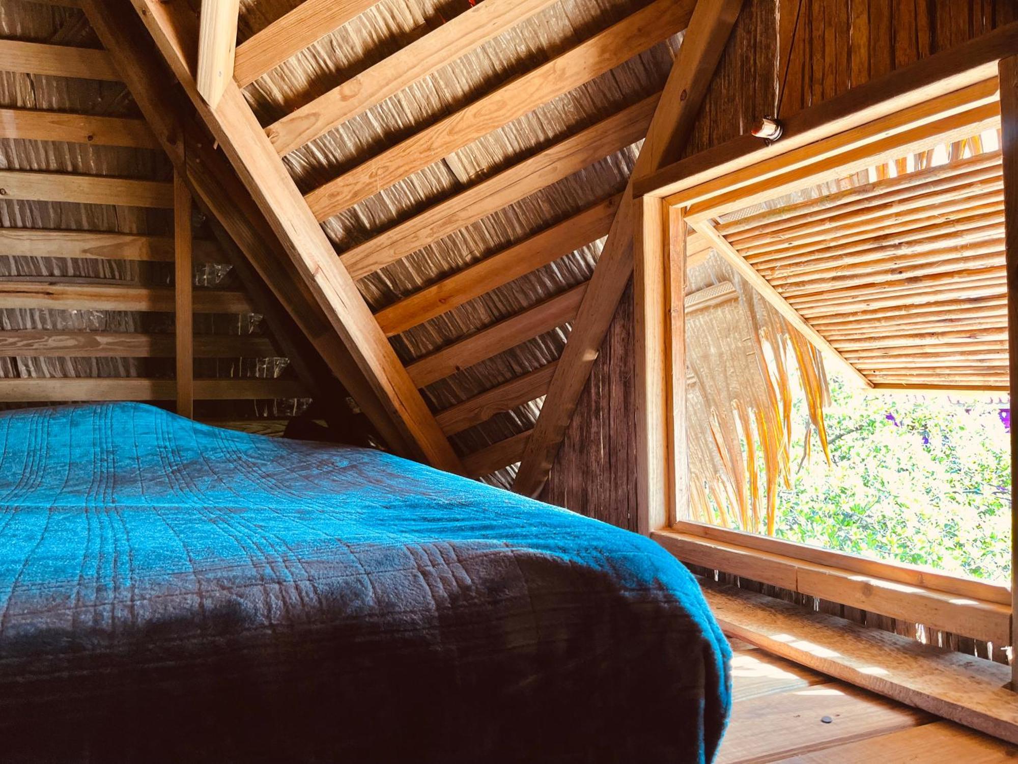 Urraca Monkey Island Eco Resort (Adults Only) Punta Laurel Phòng bức ảnh